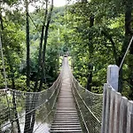 Boseend Ardennen, * Durbuy