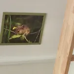 Chalet Boseend Ardennen, Durbuy