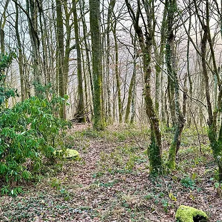 Boseend Ardennen, * Durbuy
