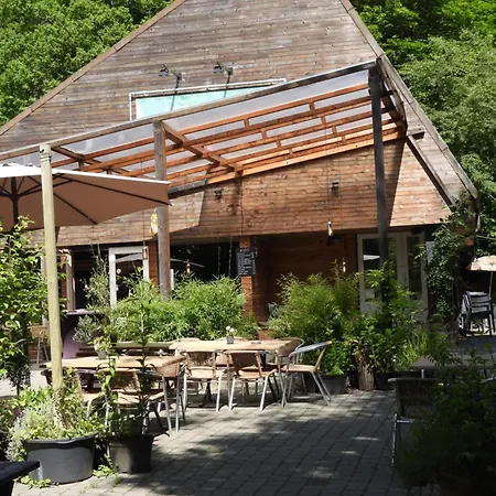 Bosmuis Ardennen, Durbuy.. Genieten In De Bossen Durbuy