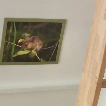 Alpehytte Boseend Ardennen, Durbuy