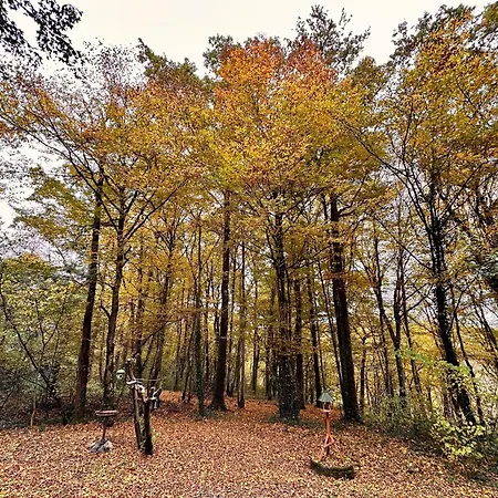 Boseend Ardennen, * Durbuy