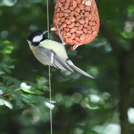 Boseend Ardennen, Chalet Durbuy